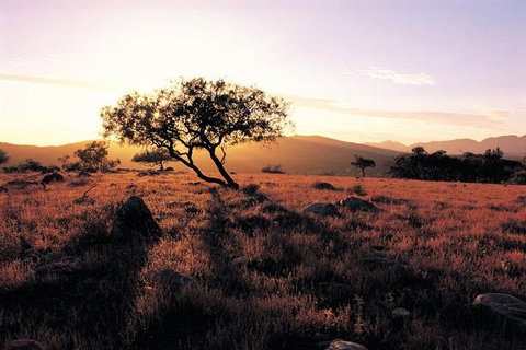 Adelaide To Coober Pedy 7 DAY SMALL GROUP 4WD SAFARI - Stays Accommodation 4