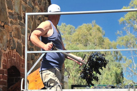 Small Tour Barossa Valley Voyager Tour From Adelaide Or Glenelg - Stays Accommodation 3