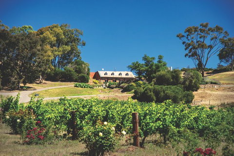 Small Tour Barossa Valley Voyager Tour From Adelaide Or Glenelg - Stays Accommodation 9