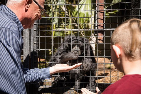 Adelaide Zoo Behind The Scenes Experience: Meet The Primates - Stays Accommodation 1