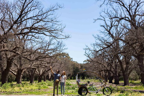 Adelaide 90-Minute Pedicab Tour: Scenic Green & River Experience - Stayed 8