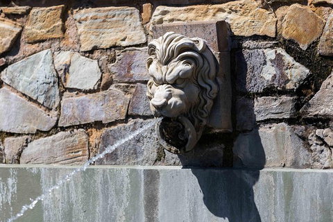 Adelaide 90-Minute Pedicab Tour: Scenic Green & River Experience - Stayed 9