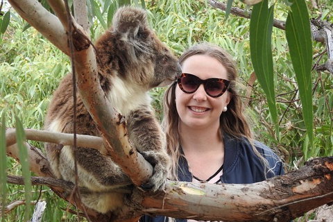 One Day Port Lincoln Tour - Tasting Eyre - Stayed 0