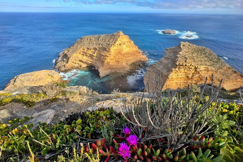 One Day Port Lincoln Tour - Tasting Eyre - Stayed 13