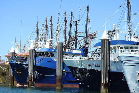 One Day Port Lincoln Tour - Tasting Eyre - Stayed 8