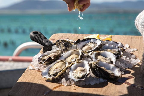 Experience Coffin Bay Short And Sweet Oyster Farm Tour - Stayed 0