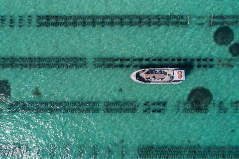 Experience Coffin Bay Short And Sweet Oyster Farm Tour - Stayed 1