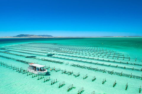 Experience Coffin Bay Short And Sweet Oyster Farm Tour - Stayed 5