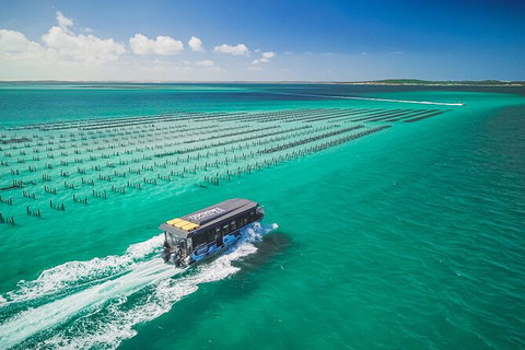Experience Coffin Bay Short And Sweet Oyster Farm Tour - Stayed 2