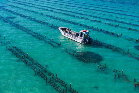 Experience Coffin Bay Short And Sweet Oyster Farm Tour - Stayed 7