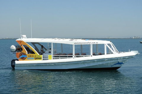 Adelaide Ocean Safari - Wild Dolphin Safari - Stays Accommodation 0