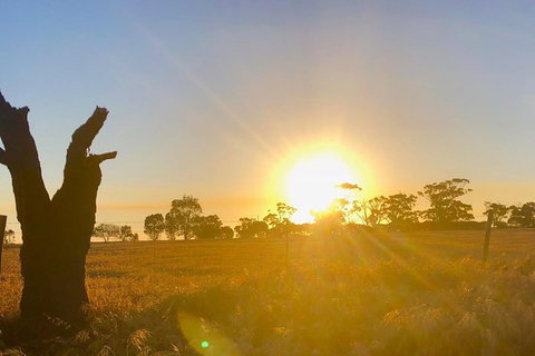 Bike Tour Strathalbyn & Langhorne Creek - Stayed 3