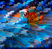 5-Day Best of Cairns with Daintree Kuranda and Great Barrier Reef - Stayed