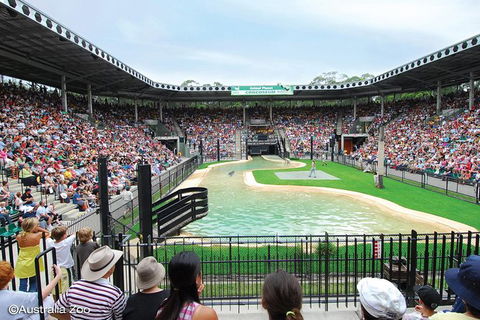 Croc Express To Australia Zoo From Brisbane - Stayed 12