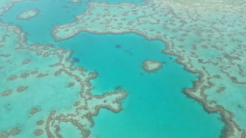 Reef And Island Scenic Flight From Airlie Beach - Stayed 3