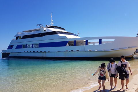 Moreton Island Day Trip (Kayak, Snorkel & Sandboard) Frm Brisbane Or Gold Coast - Stayed 10