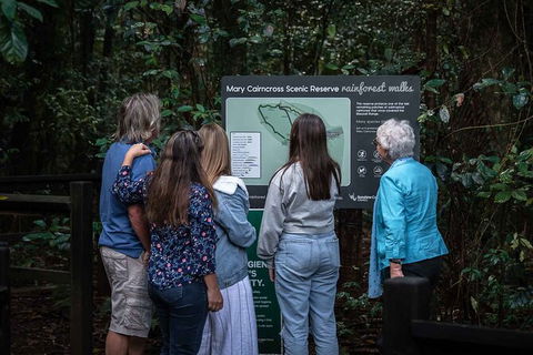 Sunshine Coast Hinterland And Noosa Day Trip From Brisbane Including Eumundi Markets And Ginger Factory - Stayed 4