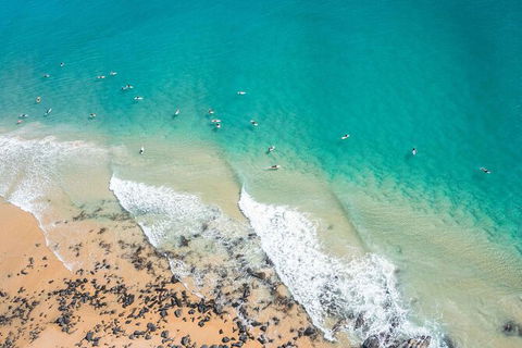 Sunshine Coast Hinterland And Noosa Day Trip From Brisbane Including Eumundi Markets And Ginger Factory - Stayed 10