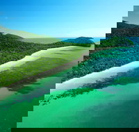 Cape Tribulation Mossman Gorge and Daintree Rainforest Day Trip from Cairns or Port Douglas - Stayed