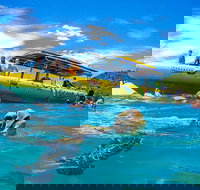 Ocean Rafting Tour to Whitehaven Beach Hill Inlet Lookout  Top Snorkel Spots - Stayed