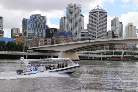 Koala Express To Lone Pine Koala Sanctuary - Stays Accommodation 0