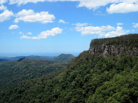 Springbrook National Park Discovery Full-Day Bushwalking Tour - Stayed 10