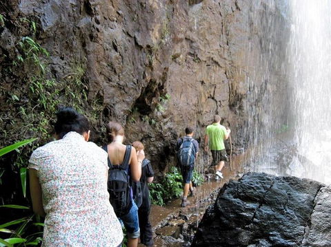 Springbrook National Park Discovery Full-Day Bushwalking Tour - Stayed 11