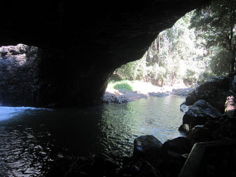 Springbrook National Park Discovery Full-Day Bushwalking Tour - Stayed 18