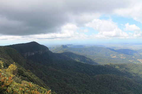 Springbrook National Park Discovery Full-Day Bushwalking Tour - Stayed 3