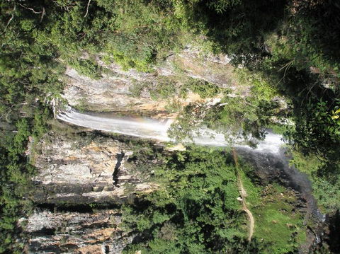 Springbrook National Park Discovery Full-Day Bushwalking Tour - Stayed 23