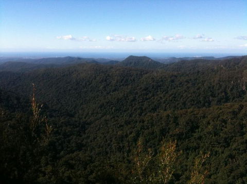 Springbrook National Park Discovery Full-Day Bushwalking Tour - Stayed 25