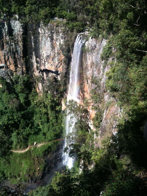 Springbrook National Park Discovery Full-Day Bushwalking Tour - Stayed 24