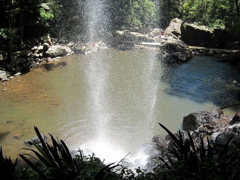 Springbrook National Park Discovery Full-Day Bushwalking Tour - Stayed 13