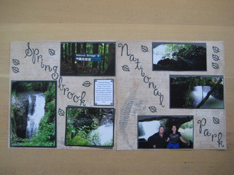 Springbrook National Park Discovery Full-Day Bushwalking Tour - Stayed 19