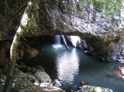 Springbrook National Park Discovery Full-Day Bushwalking Tour - Stayed 7