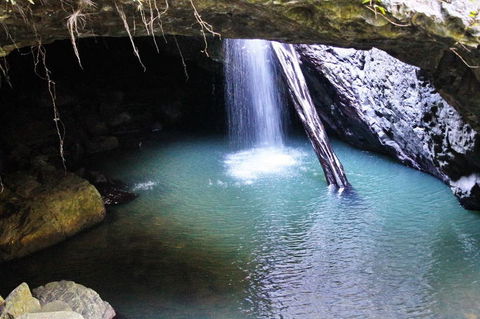 Springbrook National Park Discovery Full-Day Bushwalking Tour - Stayed 6