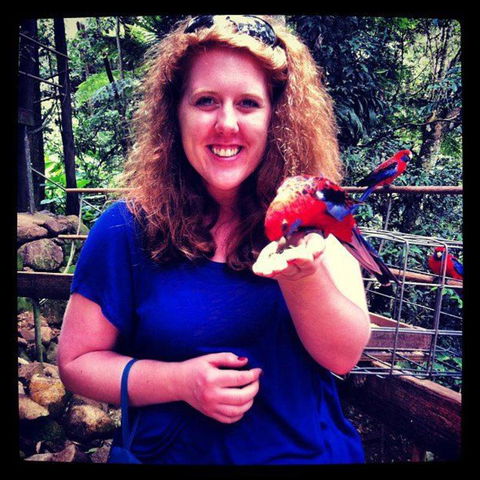 Springbrook National Park Discovery Full-Day Bushwalking Tour - Stayed 8