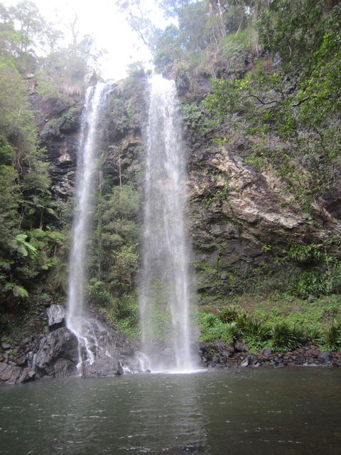 Springbrook National Park Discovery Full-Day Bushwalking Tour - Stayed 17