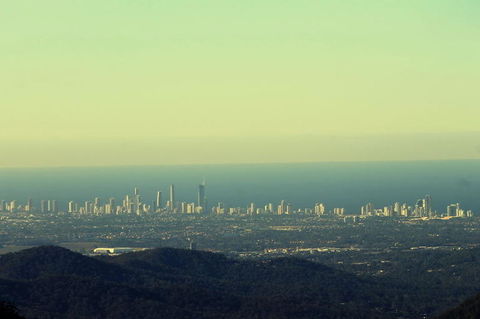 Springbrook National Park Discovery Full-Day Bushwalking Tour - Stayed 4