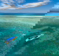 Ocean Safari Great Barrier Reef Experience in Cape Tribulation - Stayed