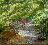 Whitsunday Segway Rainforest Discovery Tour - Stayed