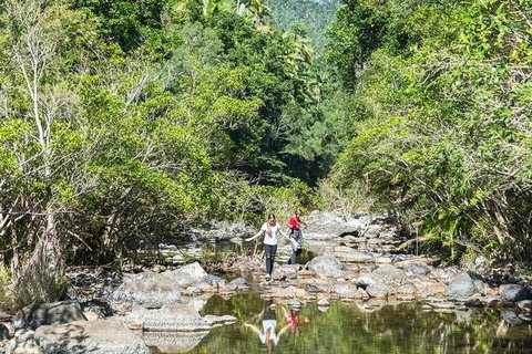 Whitsunday Segway Rainforest Discovery Tour - Stayed 10