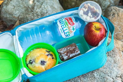 Whitsunday Segway Rainforest Discovery Tour - Stayed 7