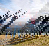 Full Day Mount Tamborine Winery Tour from Gold Coast - Stayed