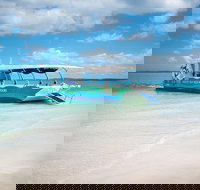 Great Sandy Marine Park Turtle Discovery and Cultural Eco Tour - Stayed