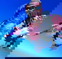 Brisbane Tandem Sky Dive - Stayed