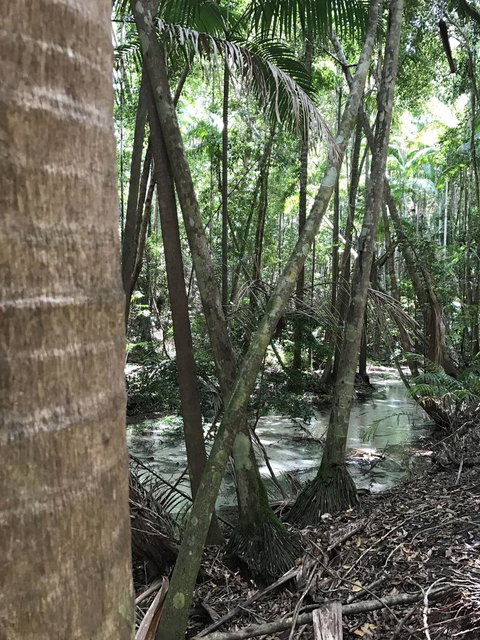 5-Day Fraser Island And Great Barrier Reef Tour - Stayed 4