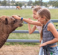 Camel Farm Deluxe Experience - Stayed