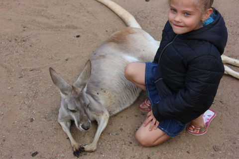 Gold Coast Attraction Pass Including Currumbin Wildlife Sanctuary And Paradise Jetboating - Stayed 3