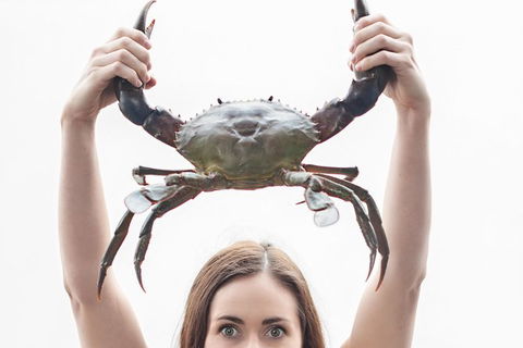 Gold Coast Attraction Pass Including Currumbin Wildlife Sanctuary And Paradise Jetboating - Stayed 7